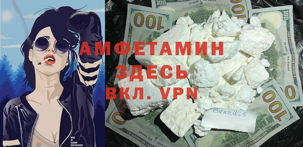 прущие грибы Балабаново
