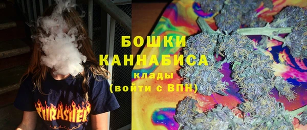 прущие грибы Балабаново