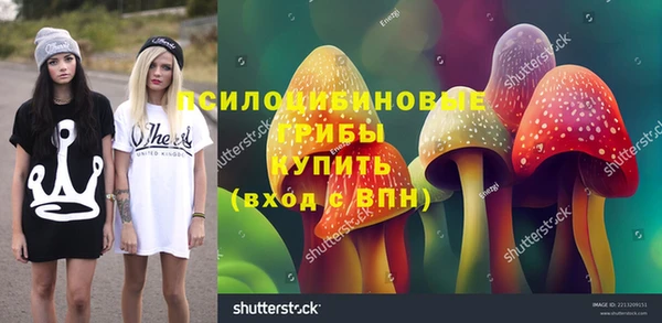 спиды Рославль