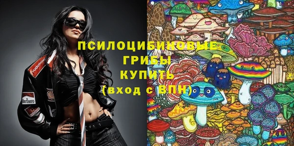 дживик Баксан
