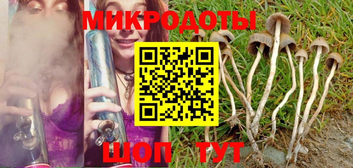 Псилоцибиновые грибы GOLDEN TEACHER Пушкино