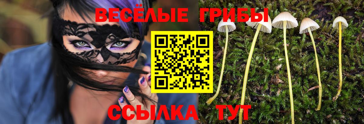 Пушкино  Галлюциногенные грибы Psilocybe  Вход с VPN  Псилоцибиновые грибы мицелий 