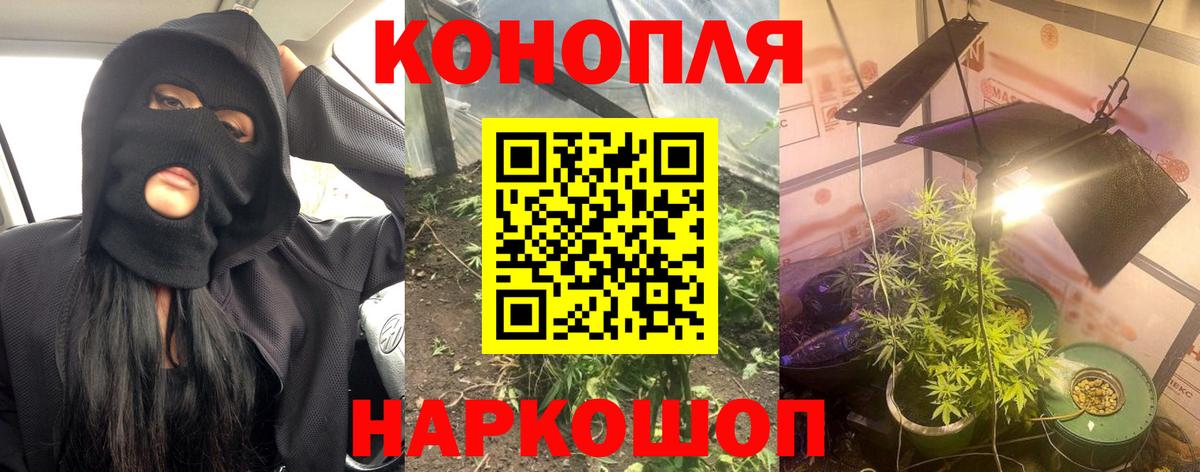 Бошки марихуана VHQ  Шишки марихуана OG Kush  Вход с VPN  Пушкино 